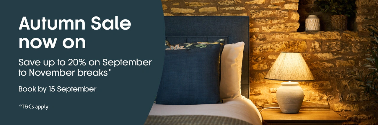 Autumn sale now on